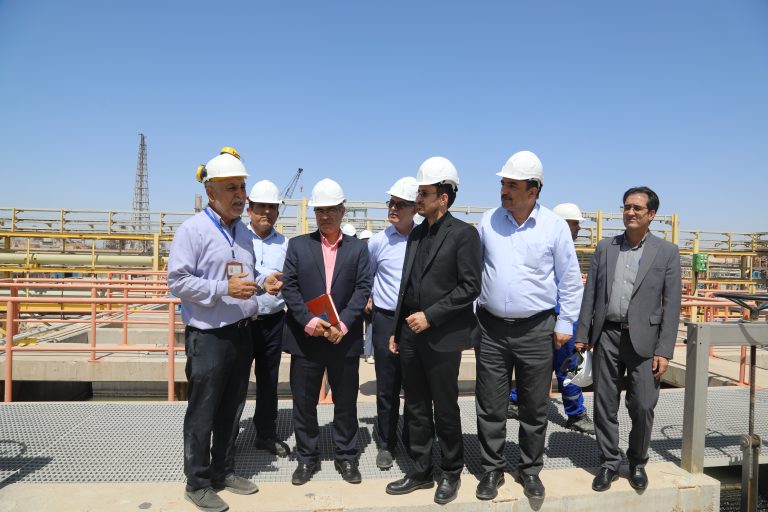 سازمان حفاظت