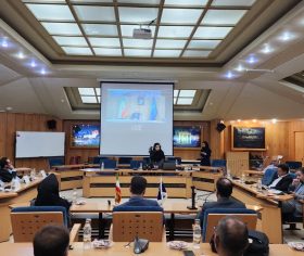 دانشگاه شیراز